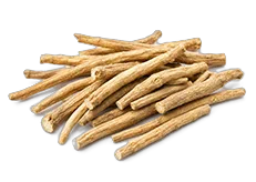 Kořen Ashwagandhy
