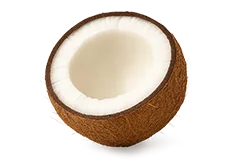 Sušené kokosové mléko
