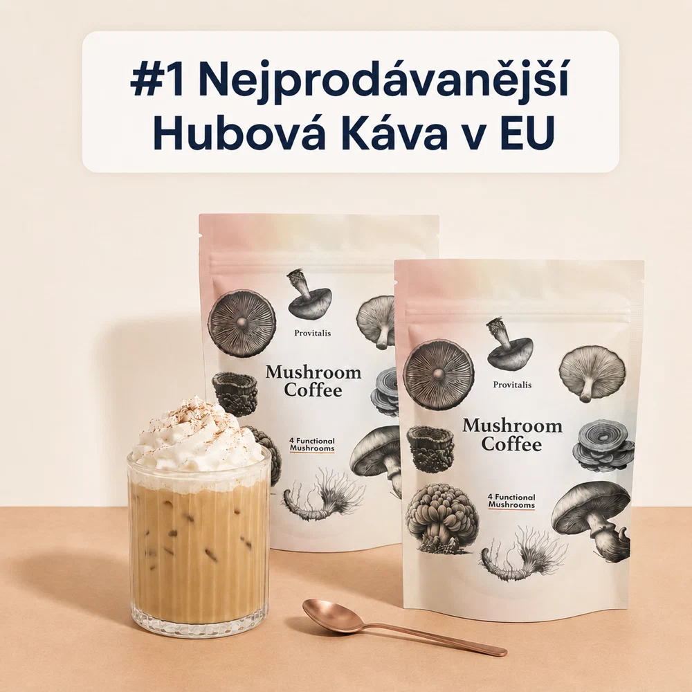 Provitalis Mushroom Coffee — glavna fotografija izdelka