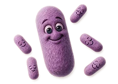 Probiotické kultury
