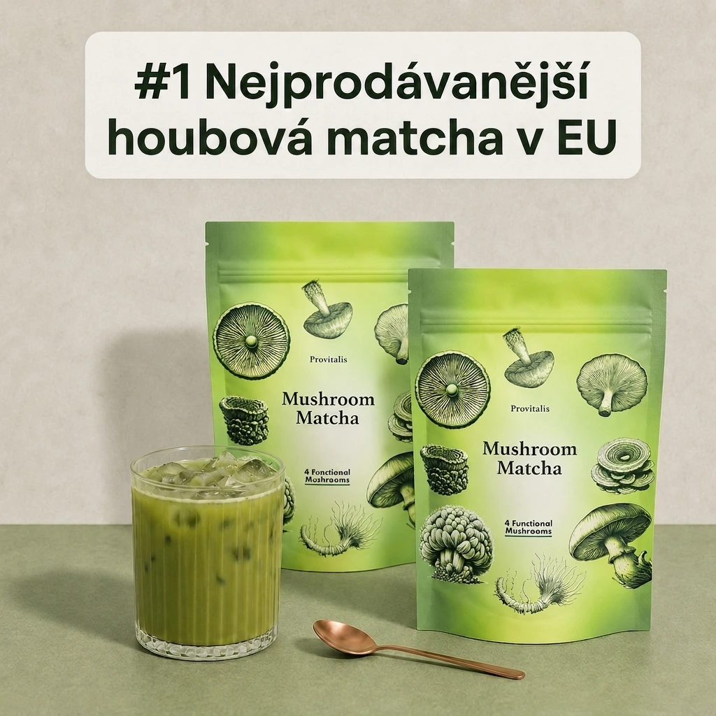 Provitalis Mushroom Matcha — glavna fotografija izdelka