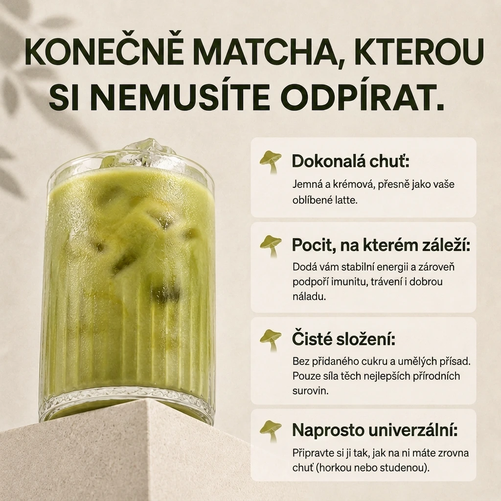 Provitalis Mushroom Matcha fotografija 3