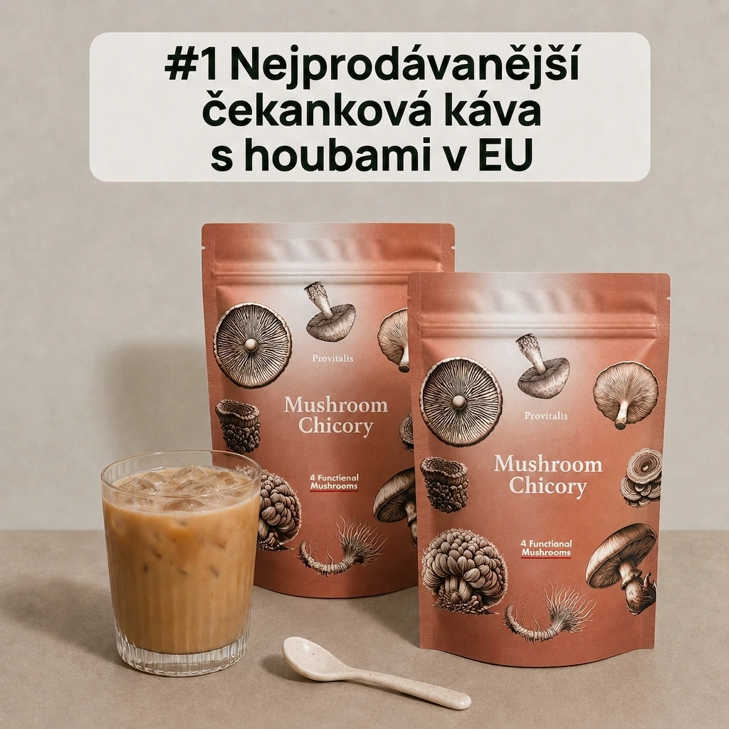 Provitalis Mushroom Chicory — glavna fotografija izdelka
